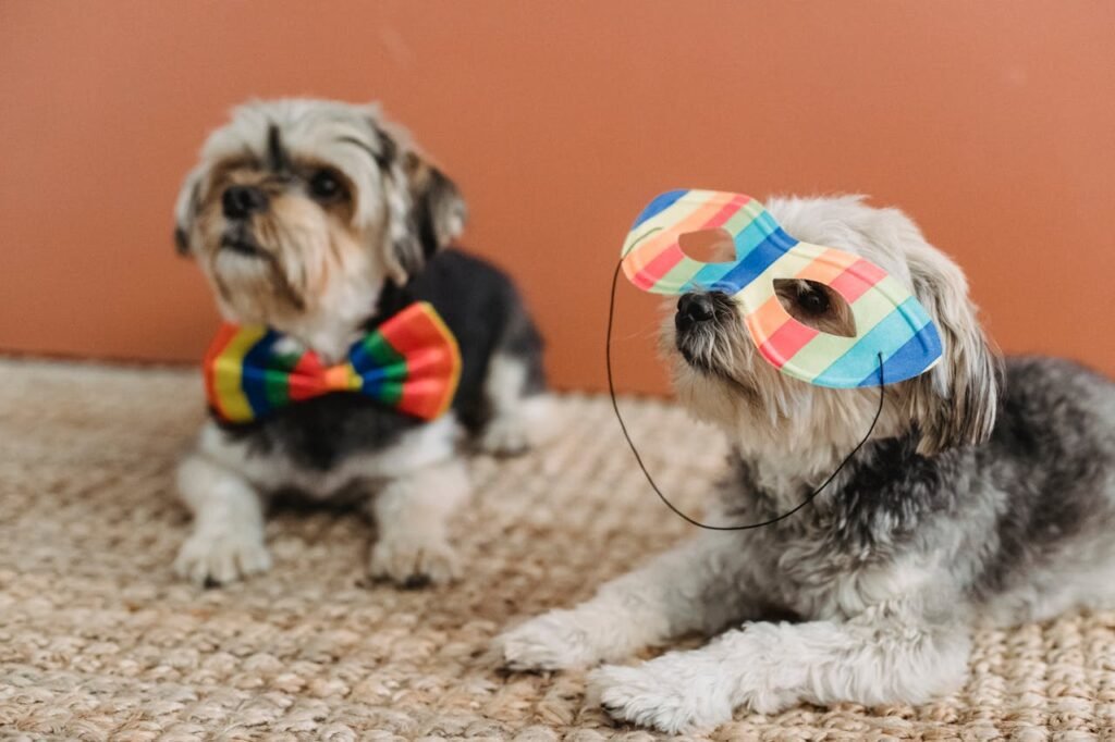 DIY dog costume