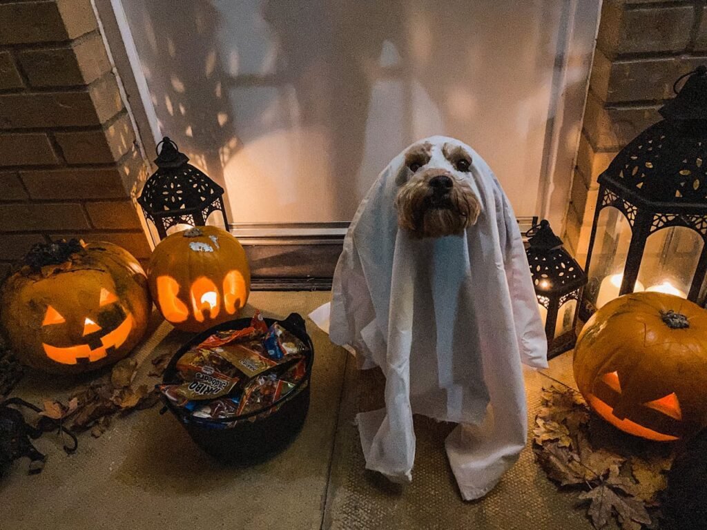 Ghost DIY Dog costume