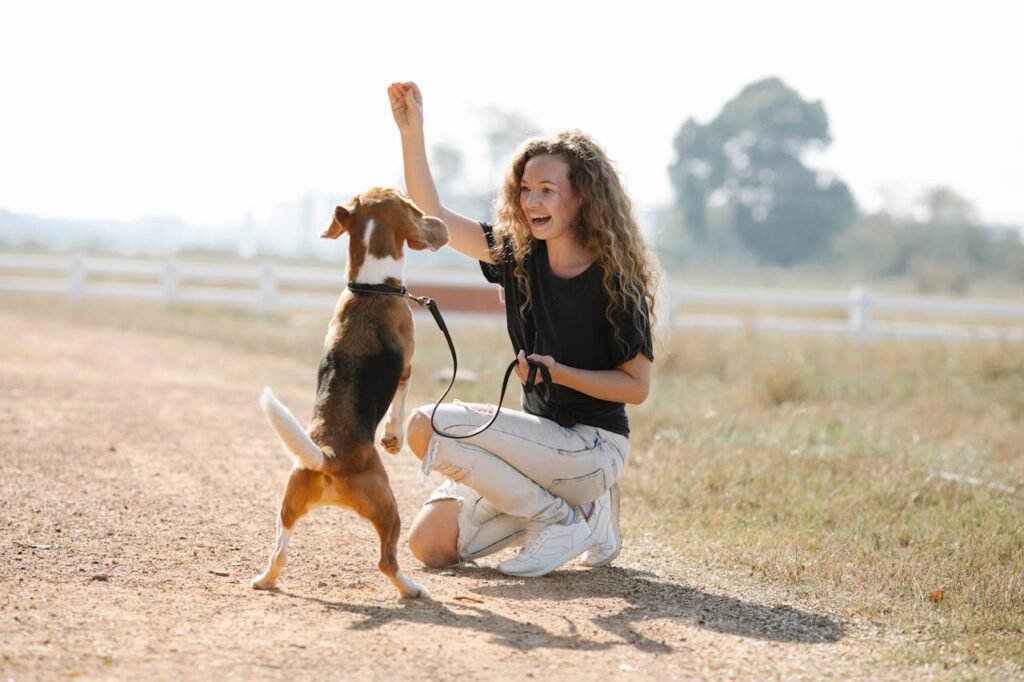 happy dog